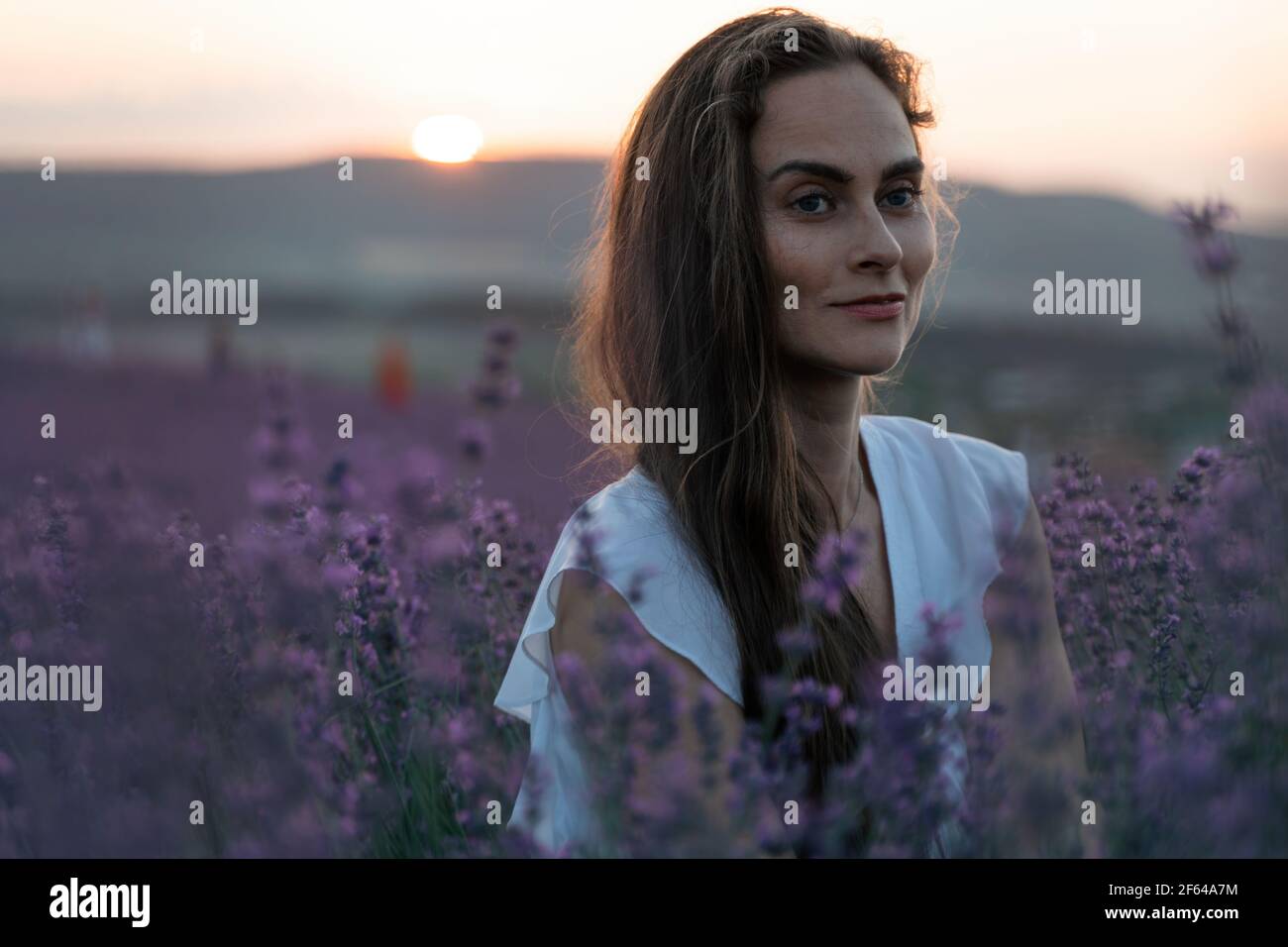 Gros plan de la jeune femme brune heureuse en robe blanche sur des champs de lavande parfumés en fleurs avec des rangées sans fin. Lumière chaude au coucher du soleil. Bagues de Banque D'Images