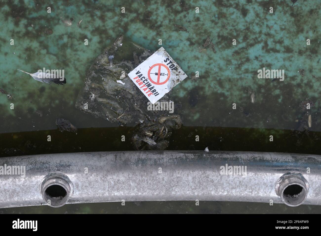 Message « Arrêter la vaccination obligatoire » dans le centre-ville de Bucarest après une manifestation contre les restrictions de la pandémie COVID-19. Banque D'Images