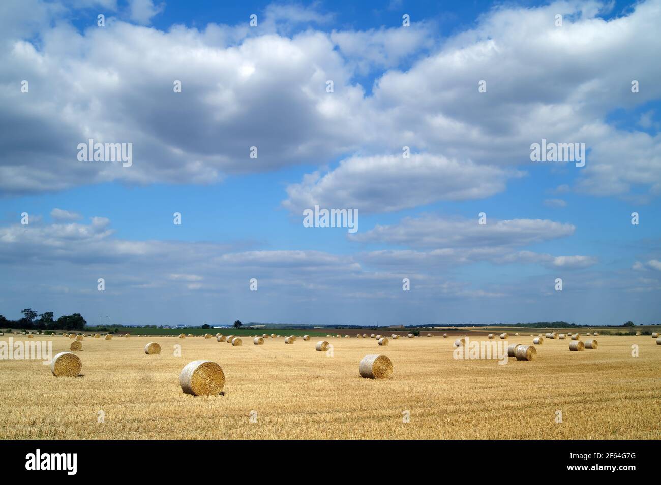 Royaume-Uni, Yorkshire du Sud, Doncaster, balles de foin de fût dans le champ près de High Melton Banque D'Images