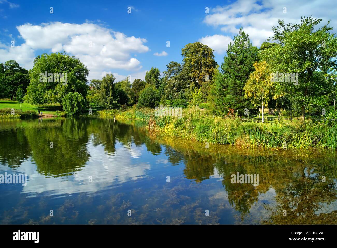 Royaume-Uni, Yorkshire du Sud, Doncaster, Cusworth Park Banque D'Images