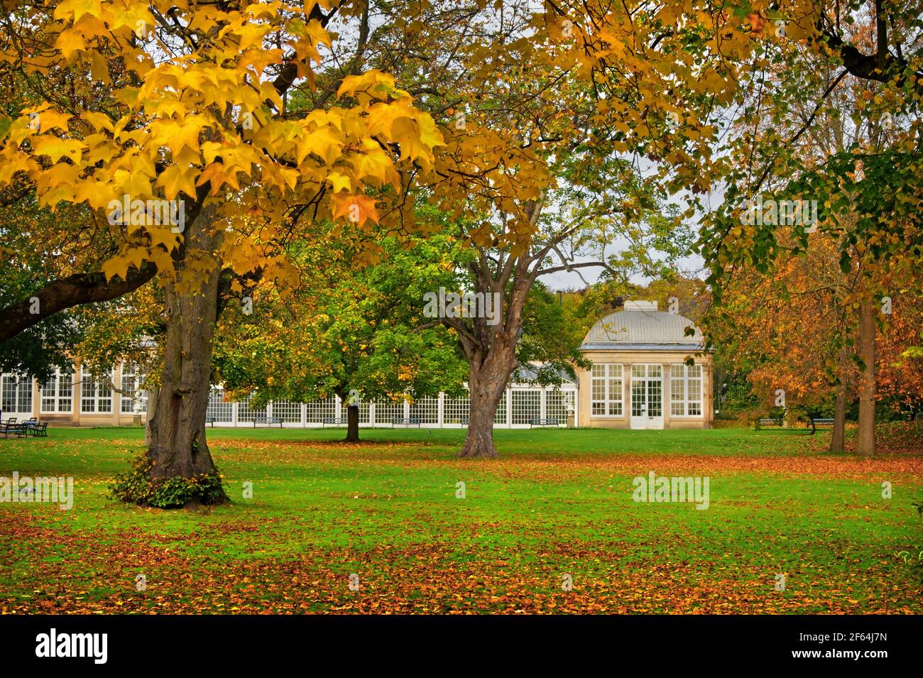 UK,South Yorkshire,Sheffield,Botanical Gardens et la maison de verre, au cours de l'automne Banque D'Images