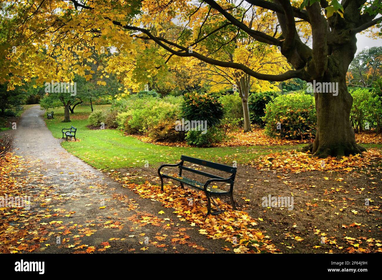 UK,South Yorkshire,Sheffield,Botanical Gardens Banque D'Images