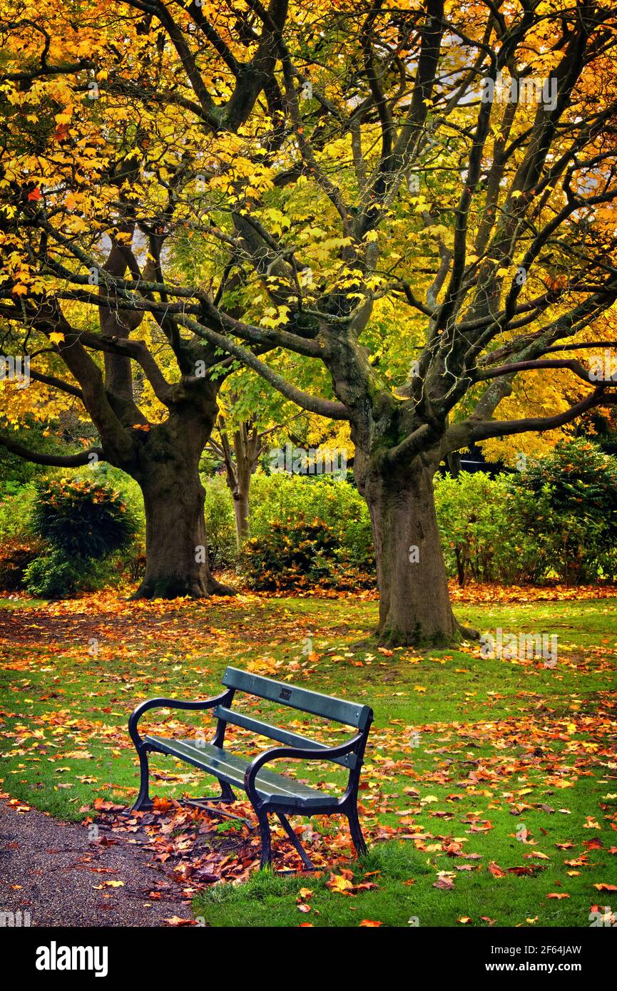 UK,South Yorkshire,Sheffield,Botanical Gardens Banque D'Images