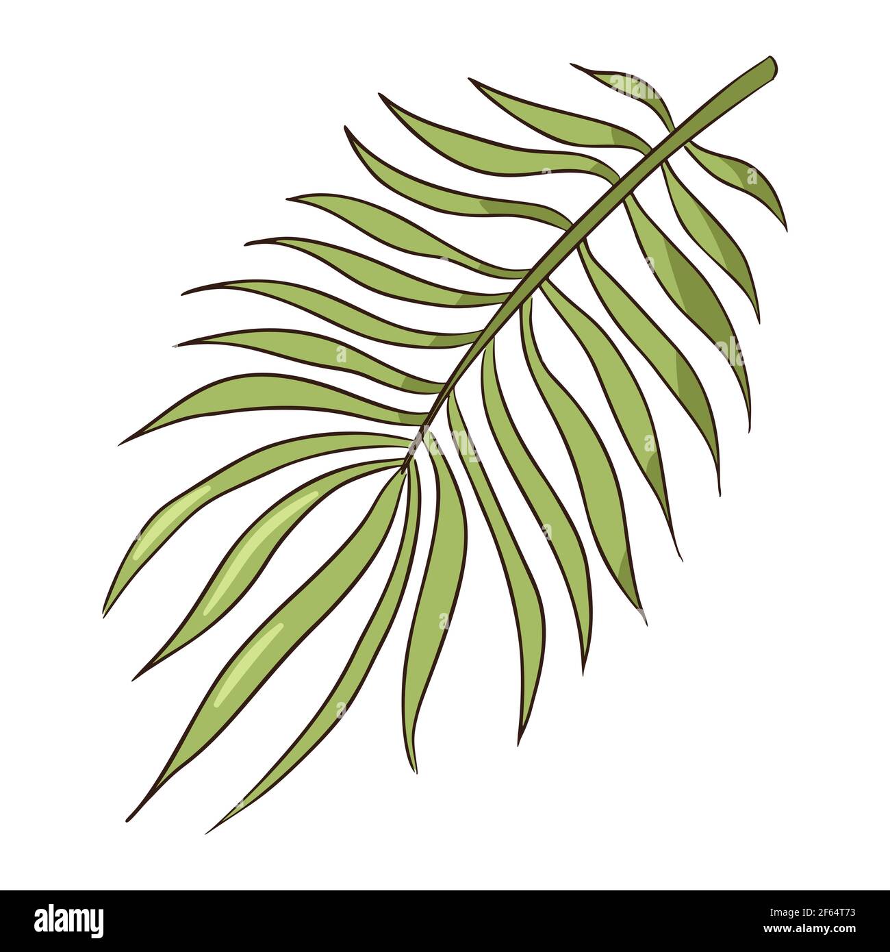 Dessin de ligne vert tropical feuille de palmier biologique. Illustration vectorielle plate de feuilles exotiques Illustration de Vecteur