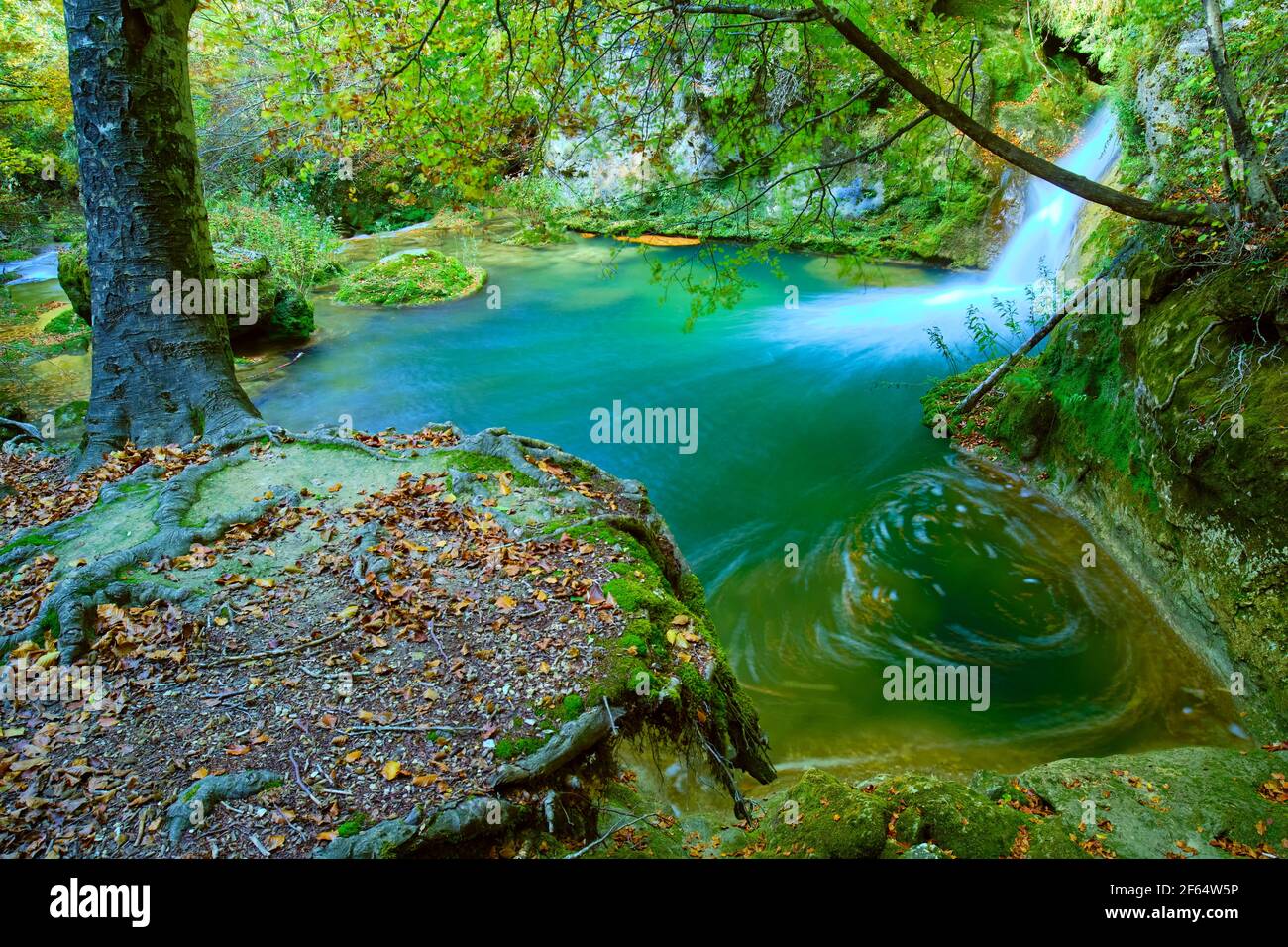 Cascade et forêt de bois de hêtre. Source de la rivière Urederra. Banque D'Images