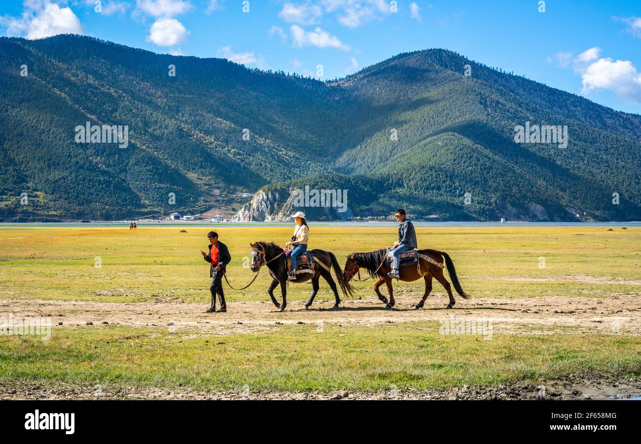 Shangrila Chine , 10 octobre 2020 : deux touristes chinois à cheval dans la réserve naturelle de Napa Hai Lake herbage, le jour ensoleillé à Shangri-la Yunnan CH Banque D'Images