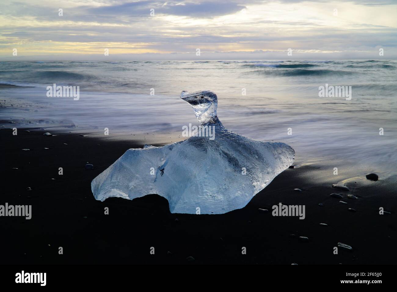 Morceau de glace au lever du soleil sur le glacier de Jökulsarlon (plage de diamants) - Islande Banque D'Images