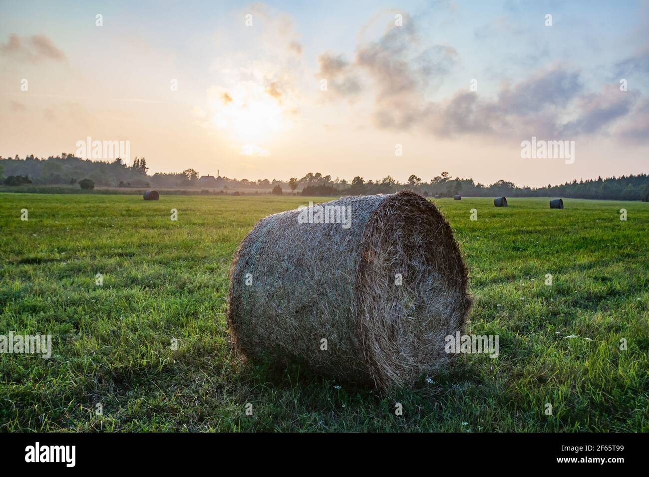 La botte de foin roule sur le champ d'herbe. Coucher de soleil et brouillard léger. Paysage rural de l'Estonie. Banque D'Images
