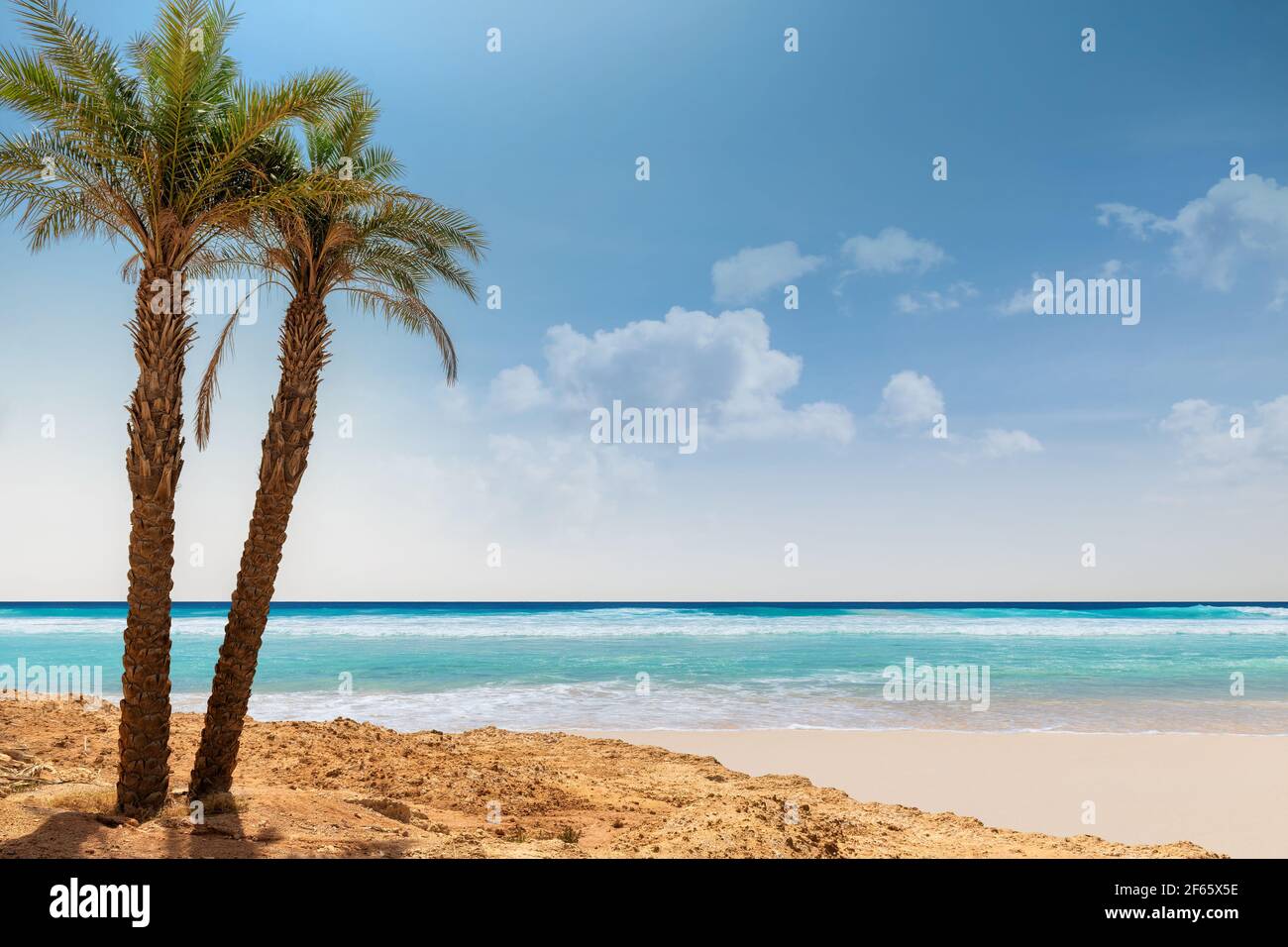 Plage paradisiaque. Plage ensoleillée avec palmiers et mer turquoise. Banque D'Images