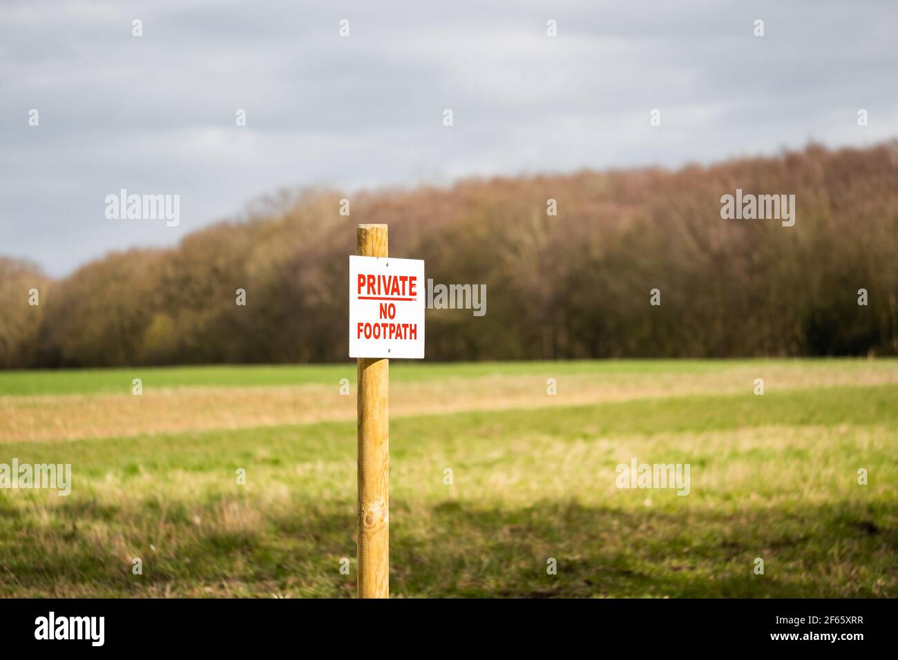 Foyer peu profond d'un panneau privé sans sentier vu au bord de nouvelles cultures plantées sur un champ de ferme. Banque D'Images