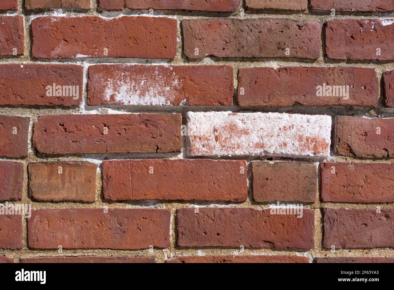 Vue rapprochée d'un mur de briques avec une brique couverte de peinture blanche et une autre avec des marques de pinceau à la lumière du matin. Banque D'Images