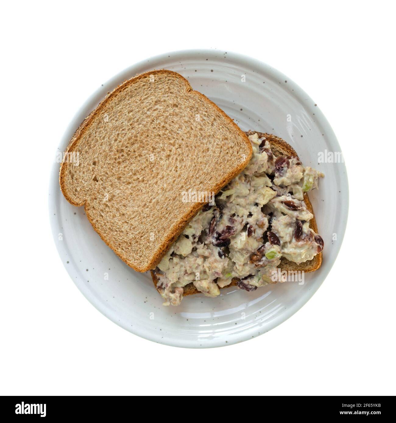 Vue de dessus d'un sandwich maison de salade de poulet avec des canneberges et du céleri sur du pain de blé isolé sur un fond blanc. Banque D'Images