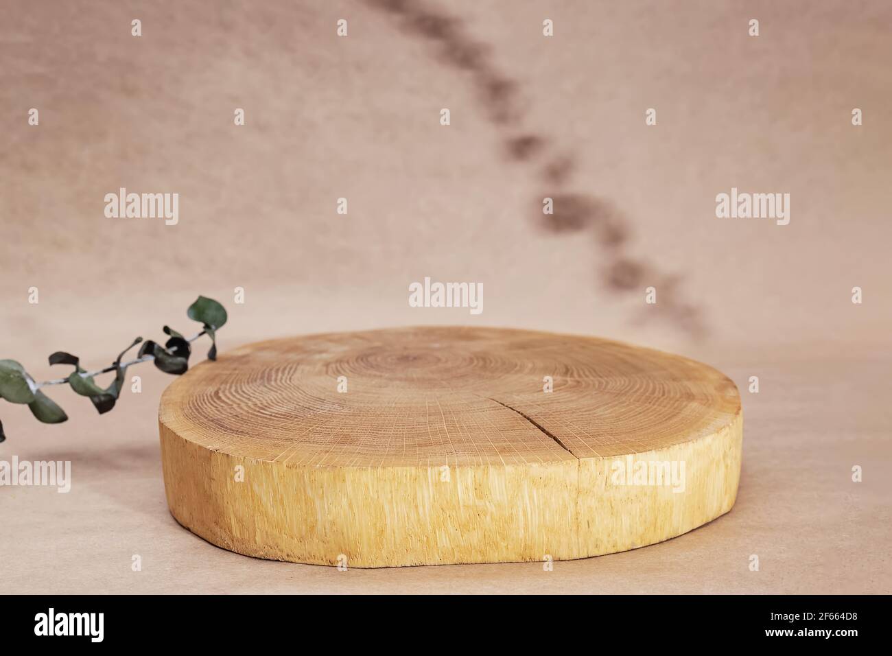 Arrière-plan de podium et branche d'eucalyptus taillé en bois Banque D'Images