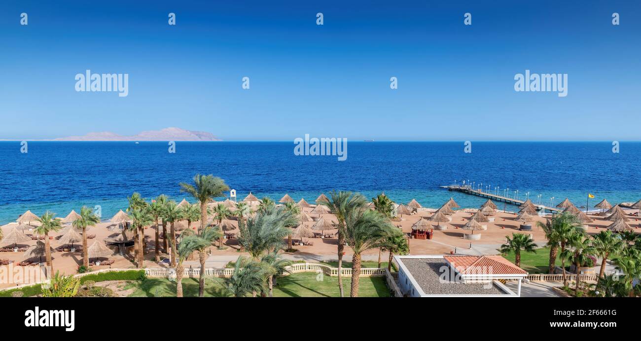 Vue aérienne de la plage de luxe avec palmiers Plage de la mer Rouge Banque D'Images