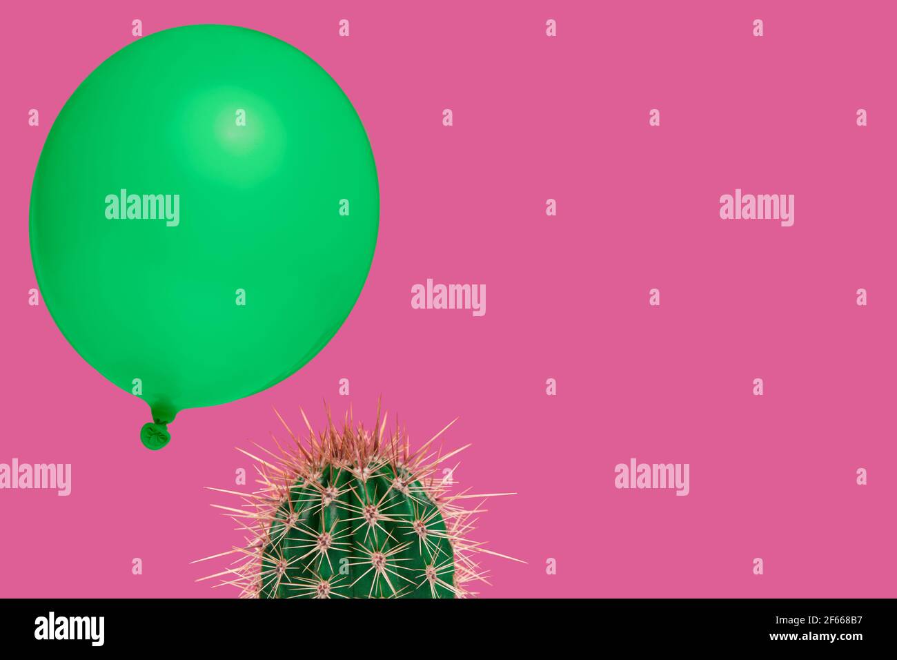 Plante de Cactus sur fond rose fluo avec dessus elle flottant un ballon vert comme un concept pour quelque chose qui risque d'erreur rapide Banque D'Images