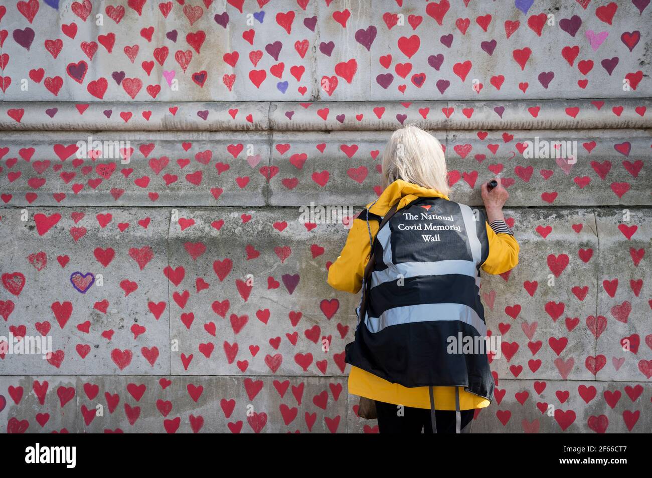 Londres, Royaume-Uni. 30 mars 2021. Un volontaire tire les coeurs sur un mur à Lambeth près de la Tamise, chaque coeur représentant quelqu'un qui est décédé pendant la pandémie de coronavirus au Royaume-Uni. Appelé le mur commémoratif national Covid, il a été créé par les familles bereaved Covid-19 pour la justice et s'étendra sur un demi-mile au moment où il sera terminé. Crédit : Stephen Chung/Alay Live News Banque D'Images