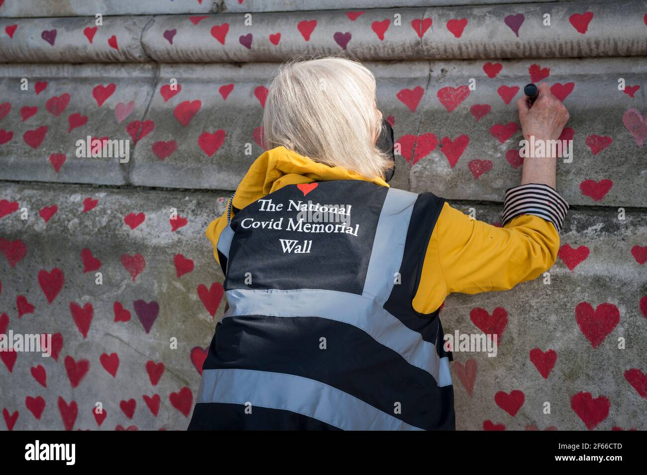 Londres, Royaume-Uni. 30 mars 2021. Un volontaire tire les coeurs sur un mur à Lambeth près de la Tamise, chaque coeur représentant quelqu'un qui est décédé pendant la pandémie de coronavirus au Royaume-Uni. Appelé le mur commémoratif national Covid, il a été créé par les familles bereaved Covid-19 pour la justice et s'étendra sur un demi-mile au moment où il sera terminé. Crédit : Stephen Chung/Alay Live News Banque D'Images