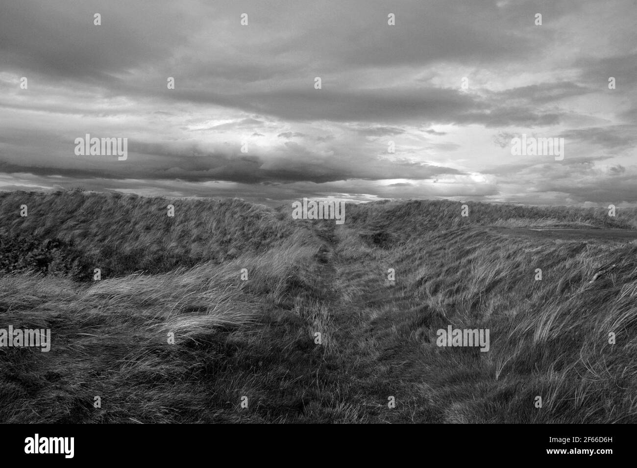 Paysage écossais rugueux et accidenté Banque D'Images