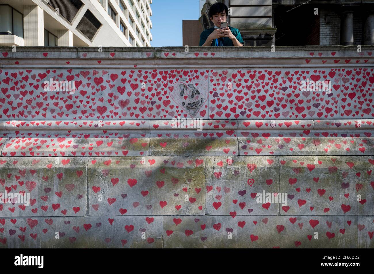 Londres, Royaume-Uni. 30 mars 2021. Un travailleur du NHS au-dessus d'un mur de cœur à Lambeth près de la Tamise, chaque cœur représentant quelqu'un qui est décédé pendant la pandémie de coronavirus au Royaume-Uni. Appelé le mur commémoratif national Covid, il a été créé par les familles bereaved Covid-19 pour la justice et s'étendra sur un demi-mile au moment où il sera terminé. Crédit : Stephen Chung/Alay Live News Banque D'Images