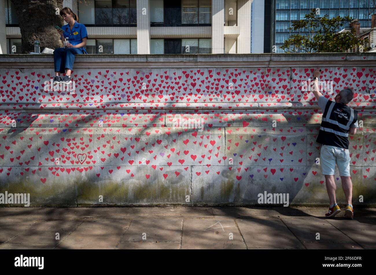 Londres, Royaume-Uni. 30 mars 2021. Un volontaire tire les coeurs sur un mur à Lambeth près de la Tamise, chaque coeur représentant quelqu'un qui est décédé pendant la pandémie de coronavirus au Royaume-Uni. Appelé le mur commémoratif national Covid, il a été créé par les familles bereaved Covid-19 pour la justice et s'étendra sur un demi-mile au moment où il sera terminé. Crédit : Stephen Chung/Alay Live News Banque D'Images