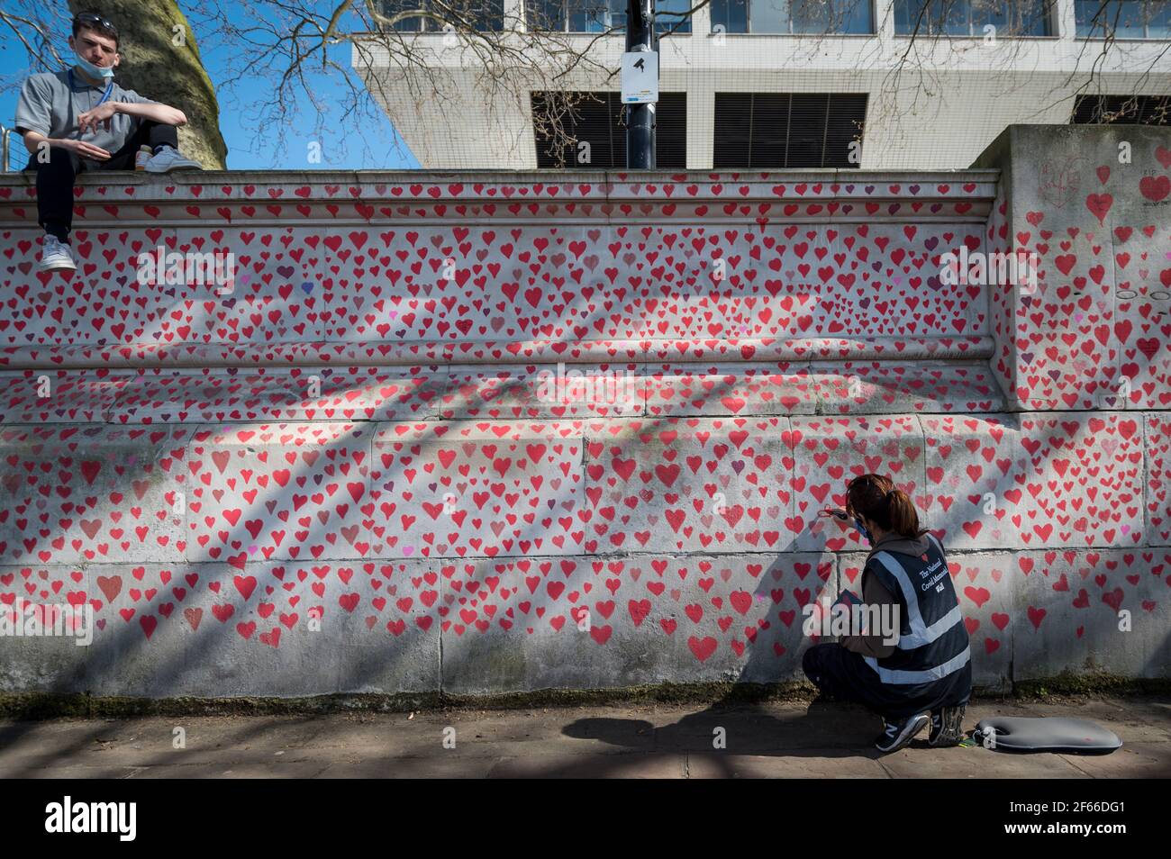 Londres, Royaume-Uni. 30 mars 2021. Un volontaire tire les coeurs sur un mur à Lambeth près de la Tamise, chaque coeur représentant quelqu'un qui est décédé pendant la pandémie de coronavirus au Royaume-Uni. Appelé le mur commémoratif national Covid, il a été créé par les familles bereaved Covid-19 pour la justice et s'étendra sur un demi-mile au moment où il sera terminé. Crédit : Stephen Chung/Alay Live News Banque D'Images