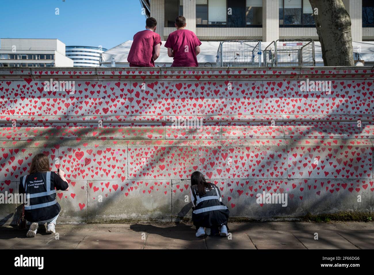 Londres, Royaume-Uni. 30 mars 2021. Les travailleurs du NHS au-dessus des bénévoles attirent les coeurs sur un mur à Lambeth près de la Tamise, chaque coeur représentant quelqu'un qui est décédé pendant la pandémie de coronavirus au Royaume-Uni. Appelé le mur commémoratif national Covid, il a été créé par les familles bereaved Covid-19 pour la justice et s'étendra sur un demi-mile au moment où il sera terminé. Crédit : Stephen Chung/Alay Live News Banque D'Images