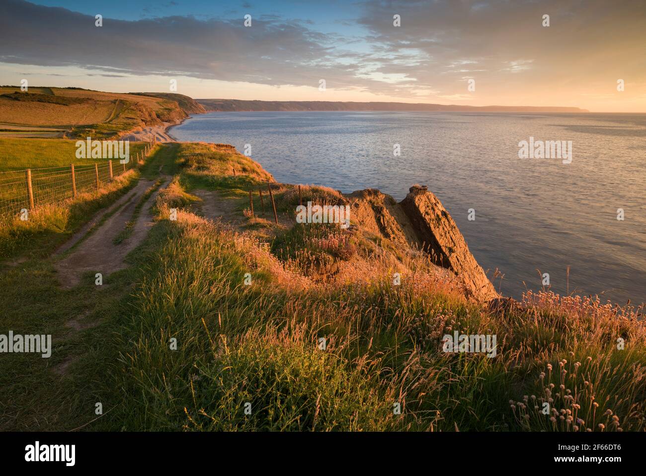 Le South West Coast Path le long du sommet des falaises de Cornborough, près de Westward Ho ! Sur la côte du patrimoine du Devon du Nord, en Angleterre. Banque D'Images