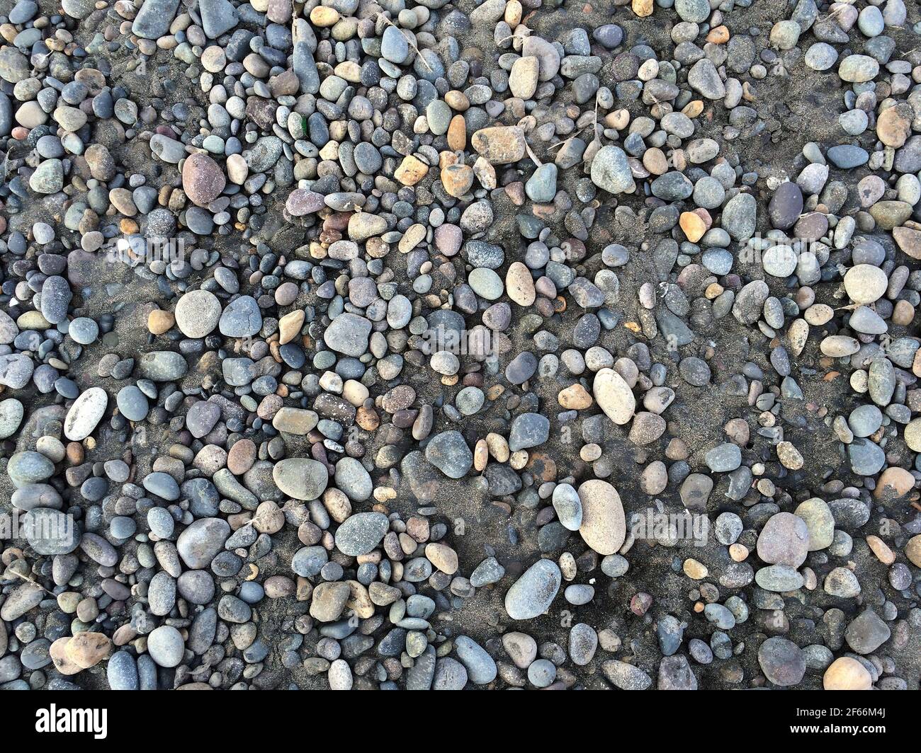 Fond de pierres de mer dans le sable. Banque D'Images