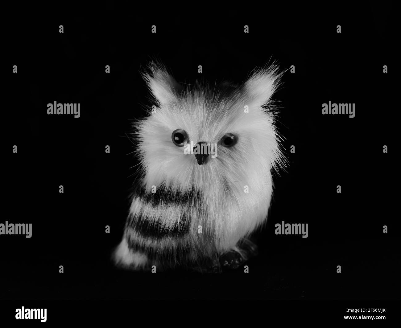 Figurines de jeu de hibou et perroquets de formes et de tailles différentes Banque D'Images