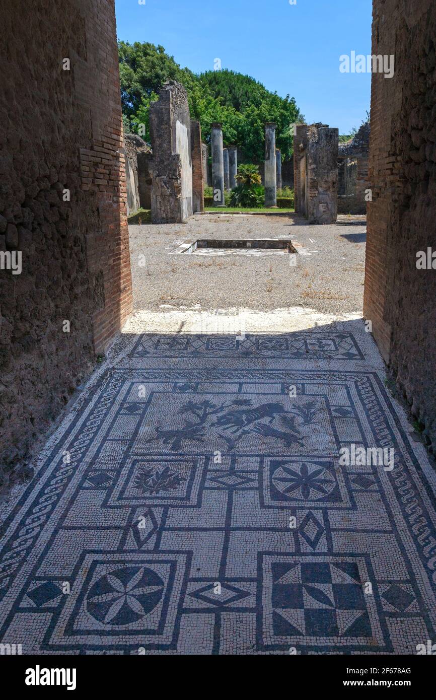 Le sol en mosaïque du vestibulum (entrée) menant à l'atrium et à la table (salle à manger) de la Maison du Wildboar à Pompéi, en Italie Banque D'Images