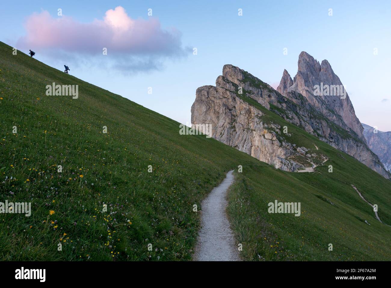 Formation de montagne dans la douce lumière du coucher de soleil en italien dolomites au sommet de Seceda Banque D'Images