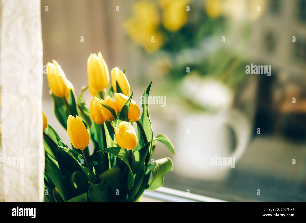 Bouquet de fleurs de tulipe jaune sur le rebord de la fenêtre Banque D'Images