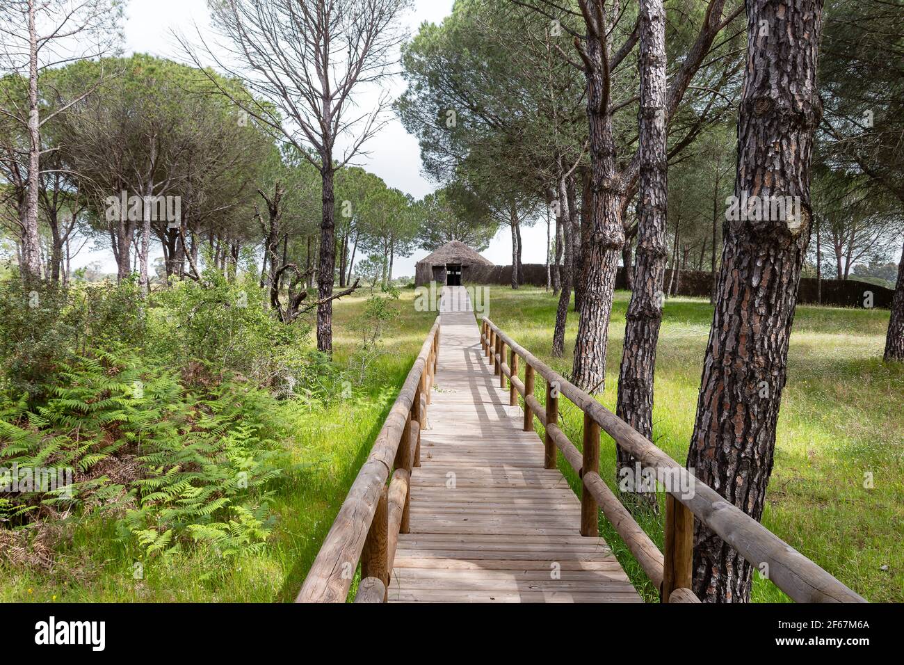 Sentier en bois menant à l'observatoire ornithologique de la Rocina dans le parc national de Donana, Huelva, Andalousie, Espagne Banque D'Images