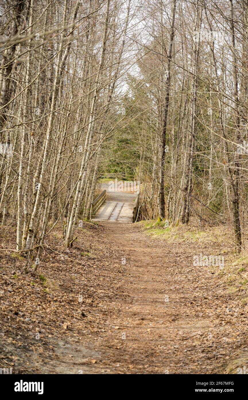 Un sentier forestier par une belle journée d'hiver. Banque D'Images