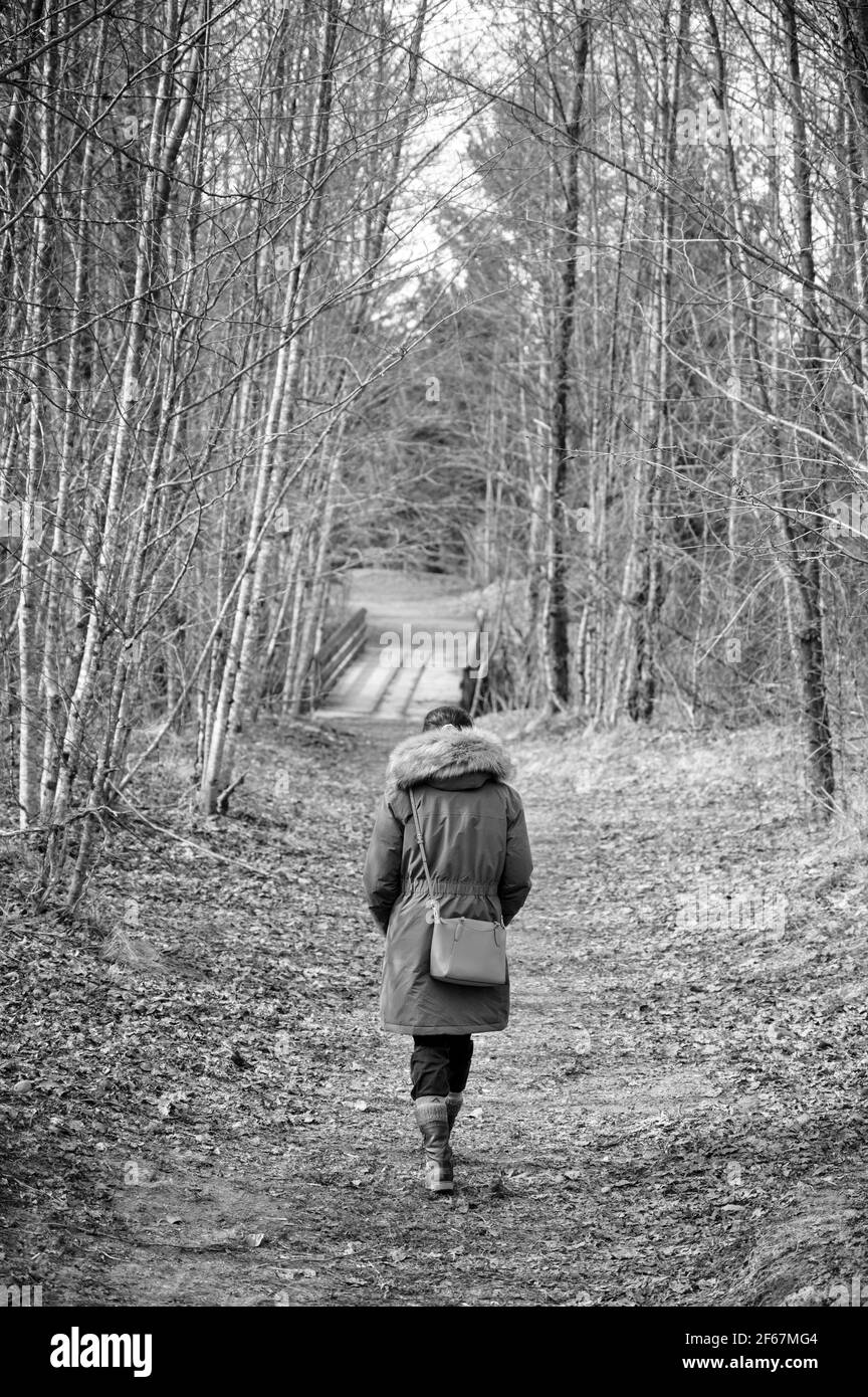 Une femme s'est promenée sur un sentier forestier par une belle journée d'hiver. Image panoramique en noir et blanc. Banque D'Images