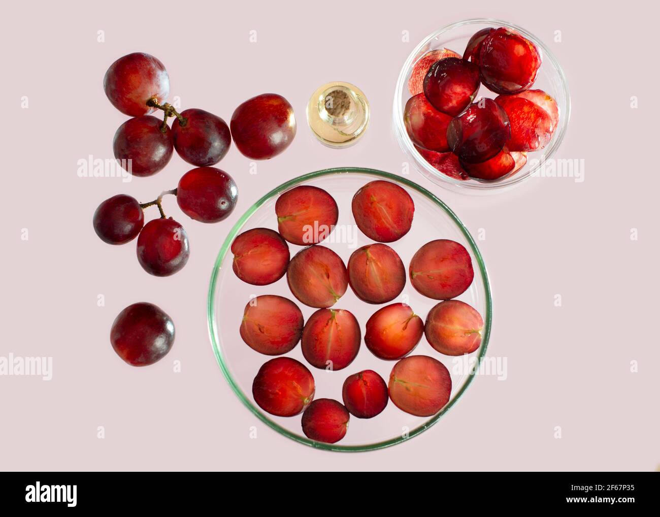 Raisins rouges, boîtes de Pétri avec tranche de raisin rouge et de peau de raisin et huile de pépins de raisin. Ingrédients pour bio cosmétique biologique. Banque D'Images