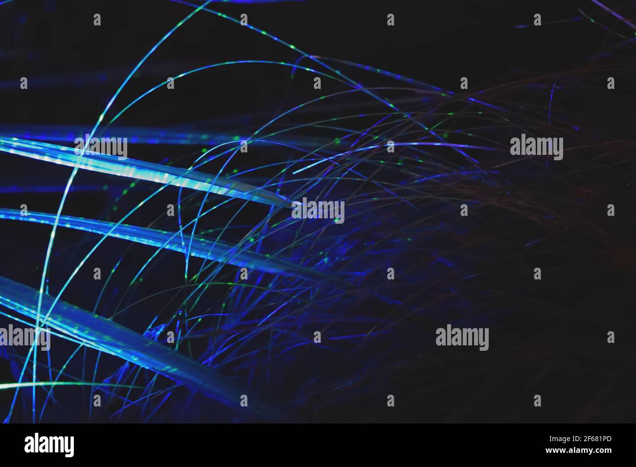 Lumières colorées projetées sur les plantes la nuit, mystérieux arrière-plan abstrait Banque D'Images