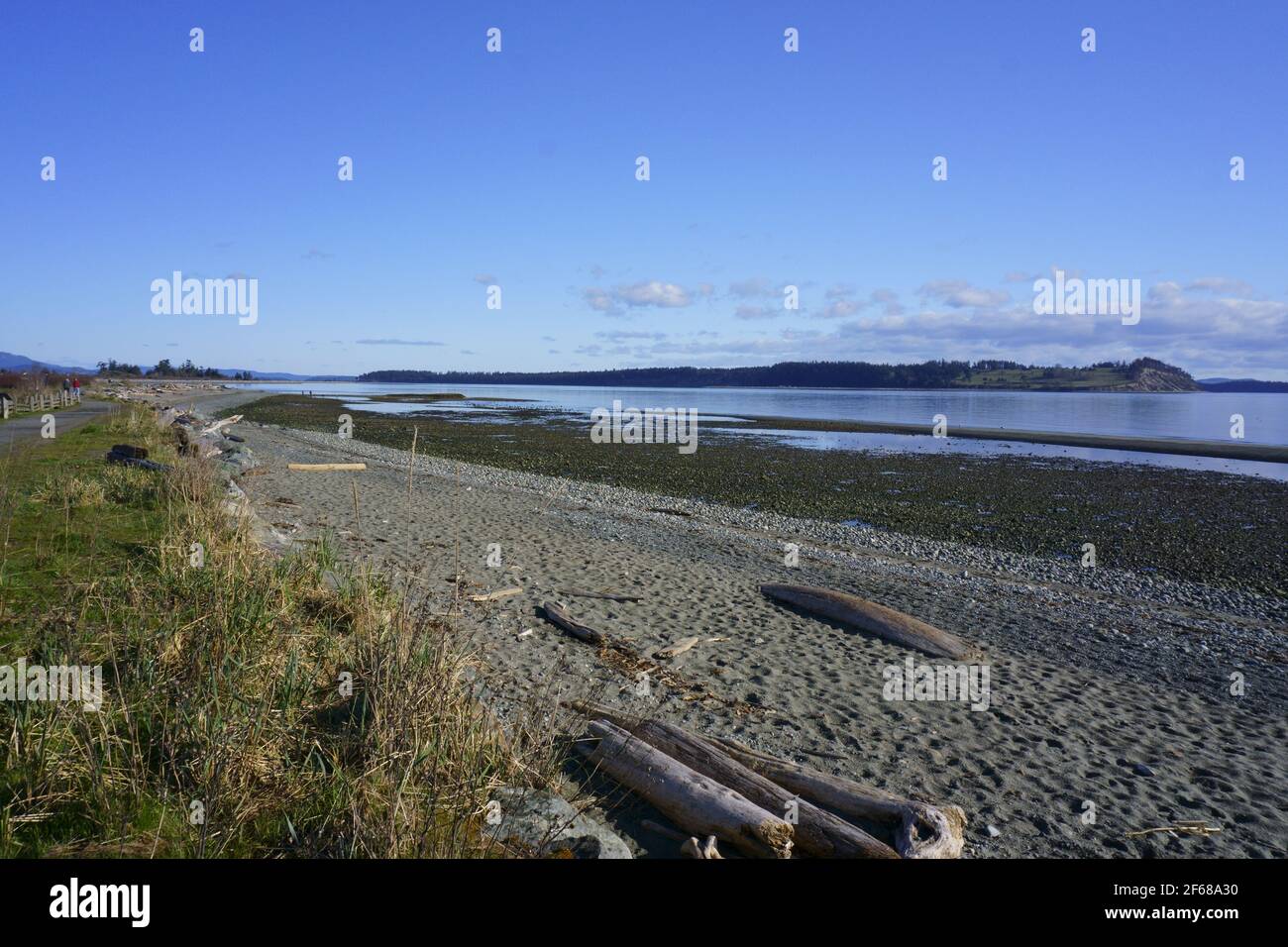 Plage, bois flotté, canal et îles Banque D'Images