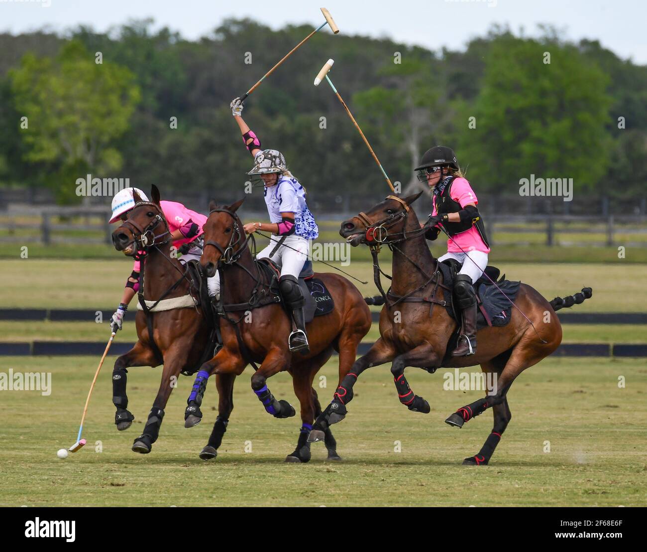 DUNDAS VS ICONICA 2021 CHAMPIONNATS DE POLO POUR FEMMES, tenus à Port Mayaca, Floride, le 10 mars 2021. Équipe Dundas: Nina Clarkin, Hope Arelano, Sarah Siegel Magness photo de Jennifer Graylock-Graylock.com 917-519-7666 Banque D'Images