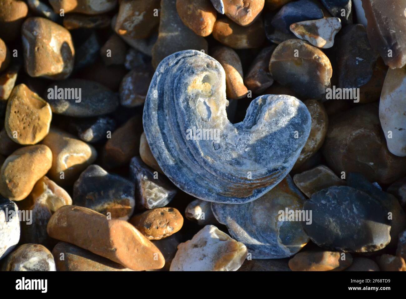 Curved Stone Eastbourne Beach à l'occasion D'une journée ensoleillée - petite Galets sur UNE plage de Stoney - Eastbourne - Sussex Banque D'Images