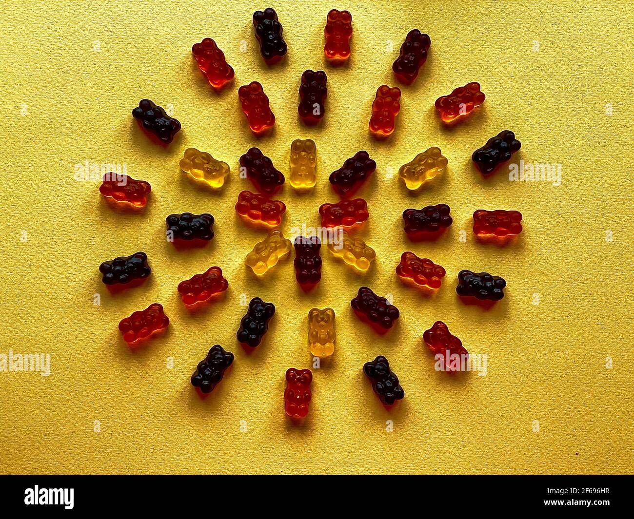 des ours délicieux, superbement disposés, sur fond jaune Banque D'Images
