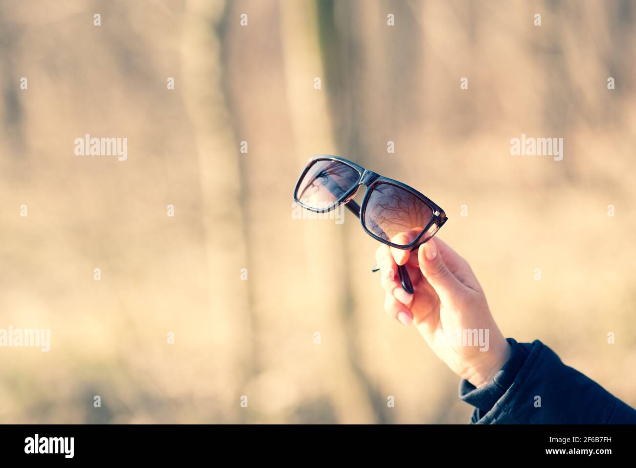 Lunettes de soleil classiques design pour hommes et femmes avec verres bruns et cadre brun Shoot à l'extérieur dans un jour d'été gros plan. Mise au point sélective Banque D'Images