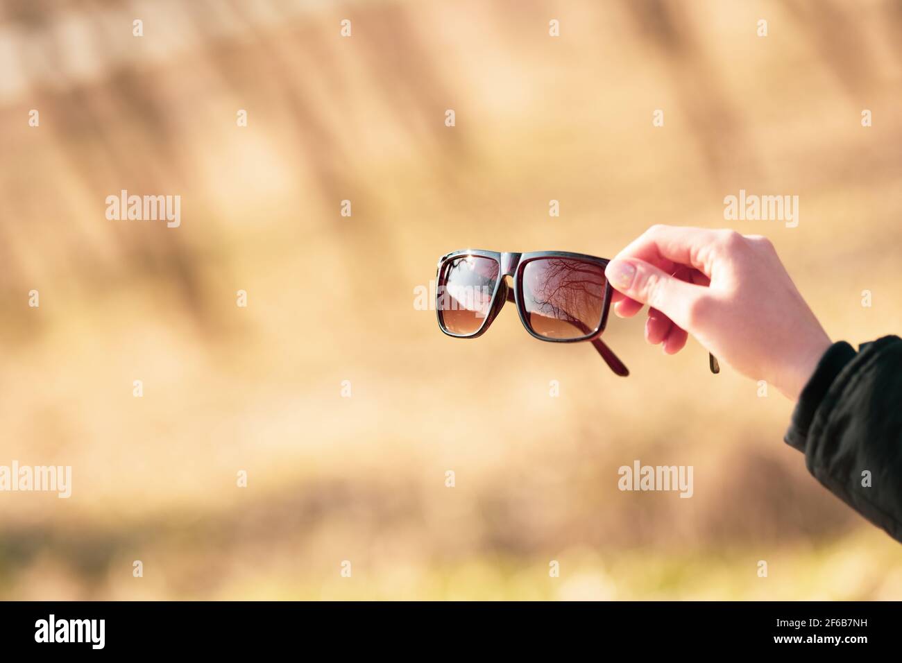 Lunettes de soleil classiques design pour hommes et femmes avec verres bruns et cadre brun Shoot à l'extérieur dans un jour d'été gros plan. Mise au point sélective Banque D'Images