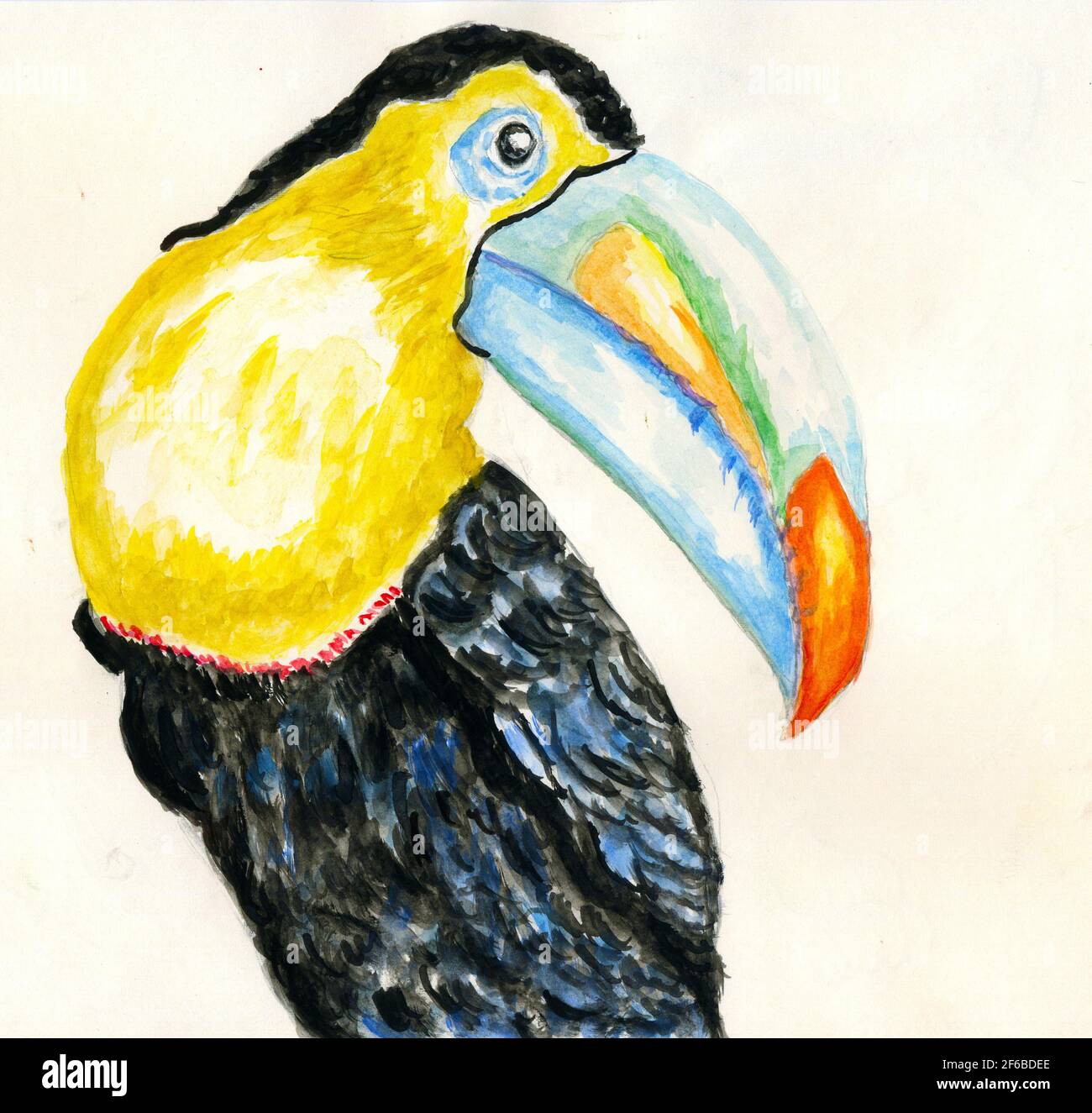 Dessin animé oiseau toucan, oiseau tropical dessiné à la main. Banque D'Images