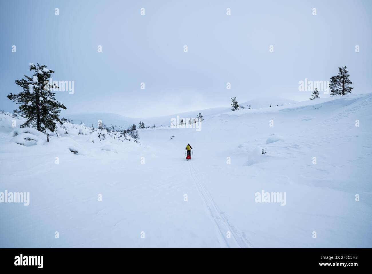 Ski de randonnée dans le parc national d'Urho Kekkonen, Sodankylä, Laponie, Finlande Banque D'Images
