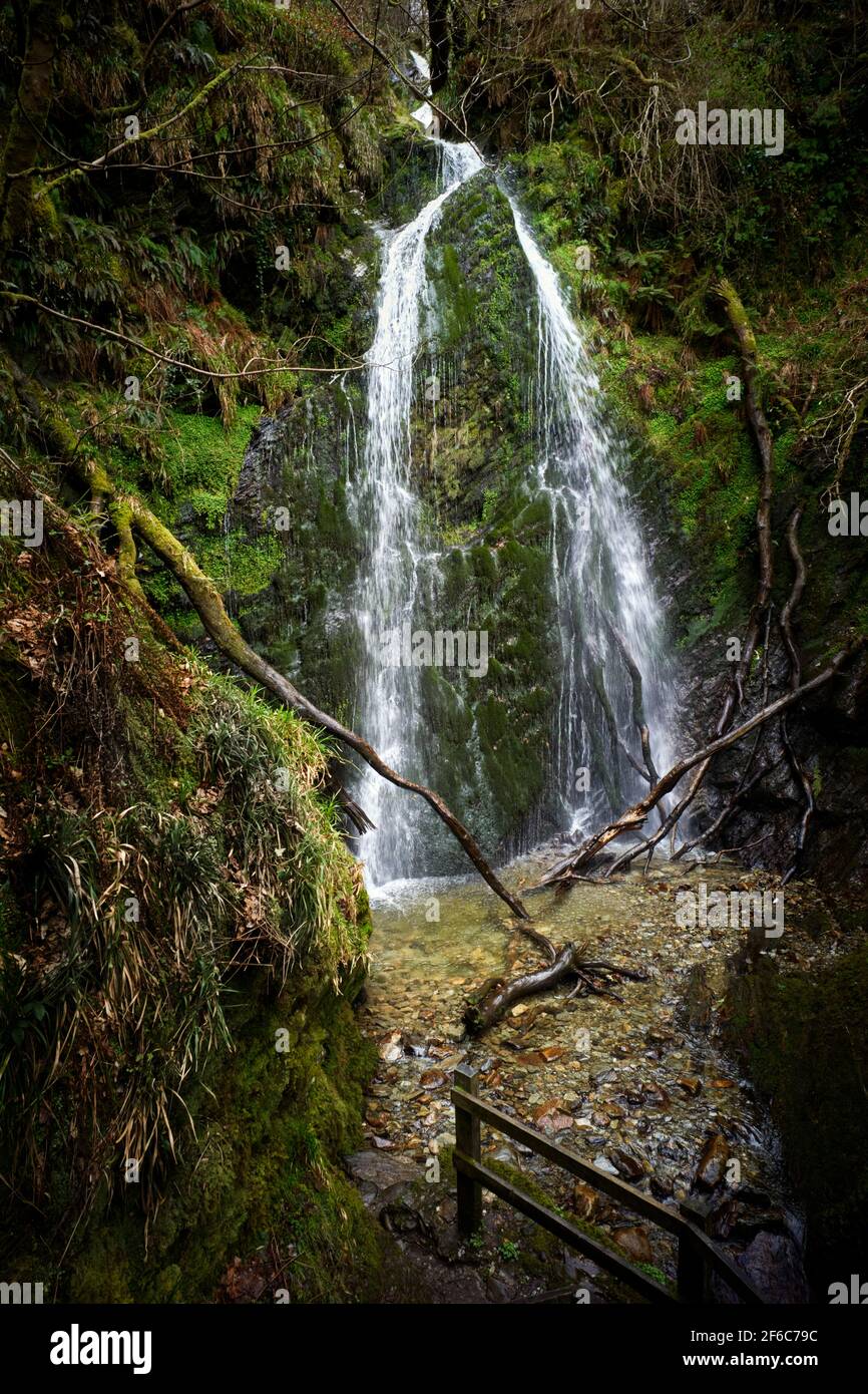 Les deux cascades de Dhoon Glen, connues sous le nom d'Inneen Vooar ou Big Girl est l'un des plus grands sur L'île de Man tombant à 130 pieds en deux gouttes Banque D'Images