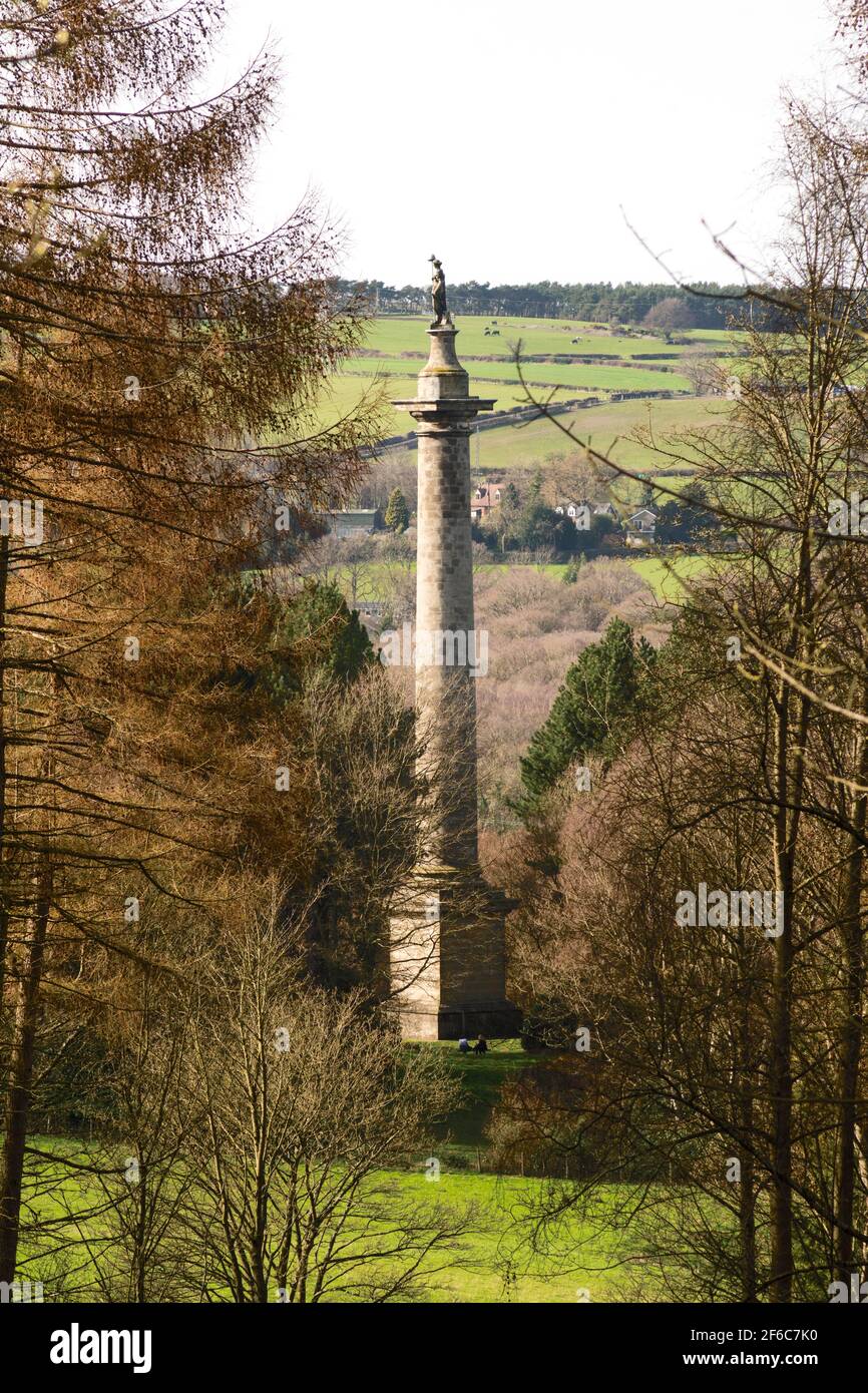 The Column of British Liberty, ou Liberty Monument, à Gibside, Gateshead, Tyne & Wear, NE16 6BG, Angleterre, Royaume-Uni Banque D'Images