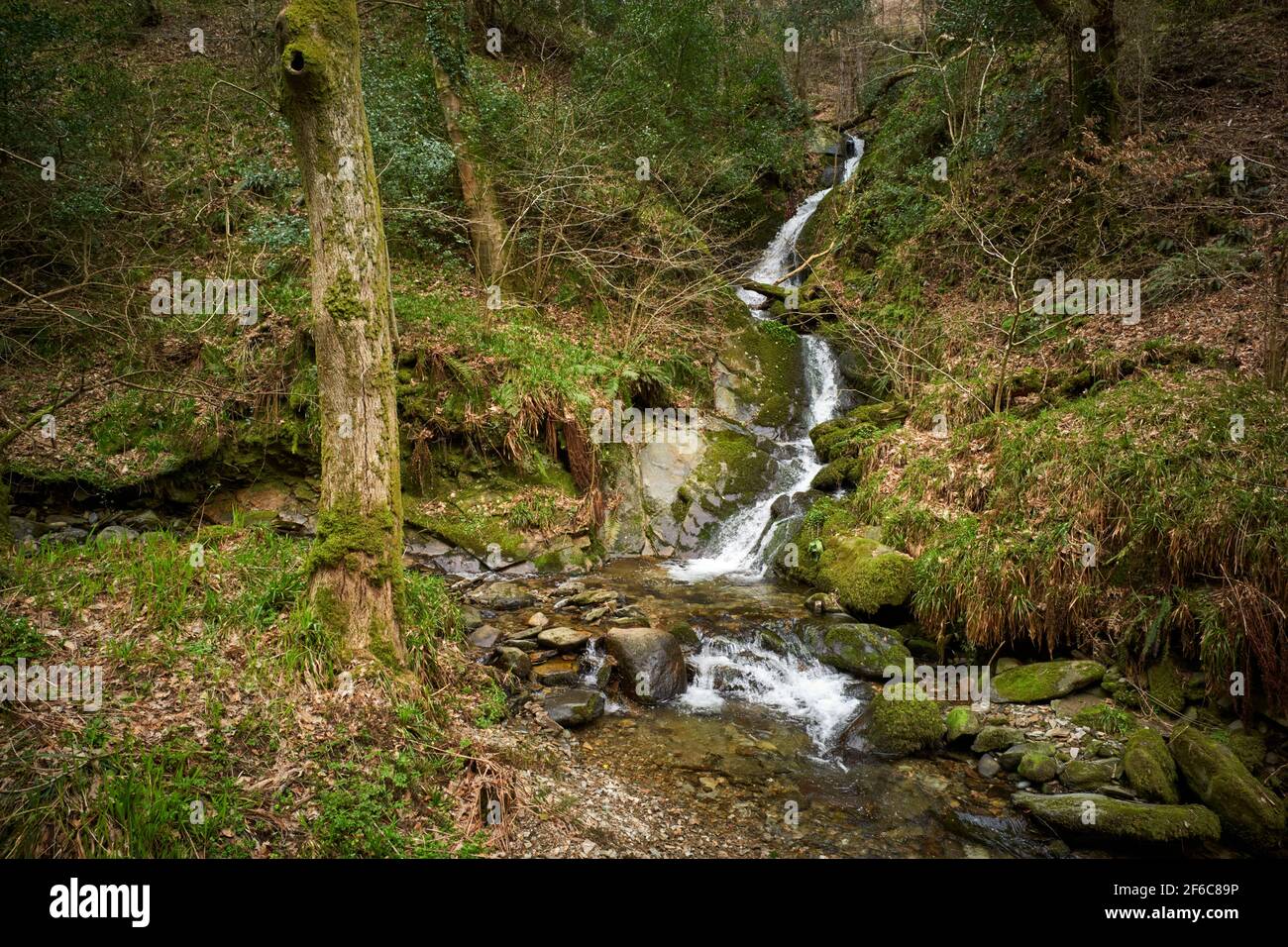 Un petit ruisseau se dévalant à Dhoon Glen, île de Man Banque D'Images