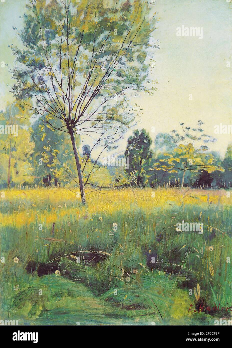 Ferdinand Hodler- Golden Meadow 1890 Banque D'Images