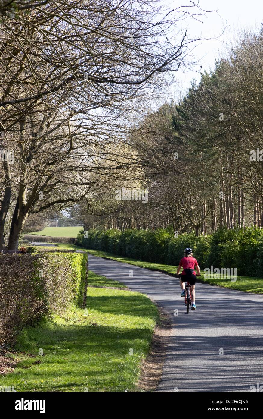 Femme vélo au Royaume-Uni ; une seule femme à vélo seule sur une route de campagne par une journée ensoleillée au printemps, vue arrière, exemple de style de vie, Cambridgeshire au Royaume-Uni Banque D'Images